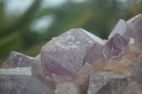 Natural Jacaranda Amethyst Cluster x 1 From Mumbwa, Zambia - TopRock