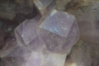 Natural Jacaranda Amethyst Cluster x 1 From Mumbwa, Zambia - TopRock