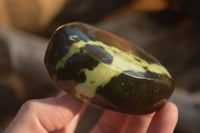 Polished  Spotted Leopard Stone Free Forms  x 6 From Inyanga, Zimbabwe