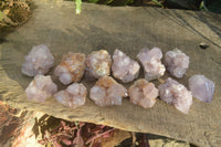 Natural Spirit Amethyst Cactus Quartz Clusters x 12 From Boekenhouthoek, South Africa