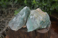 Natural Rough Jade Cobbed Specimens  x 12 From Swaziland - Toprock Gemstones and Minerals 