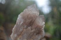 Natural Cascading White Phantom Quartz Clusters  x 6 From Luena, Congo - Toprock Gemstones and Minerals 