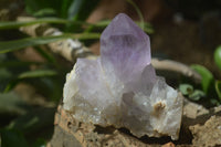 Natural Jacaranda Amethyst Clusters  x 3 From Mumbwa, Zambia - Toprock Gemstones and Minerals 