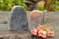 Polished  Labradorite Standing Free Forms With Purple & Gold Flash  x 2 From Tulear, Madagascar - TopRock