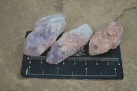 Natural Single Sugar Amethyst Crystals  x 70 From Zambia - Toprock Gemstones and Minerals 