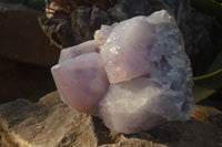 Natural Jacaranda Amethyst Cluster  x 1 From Zambia - Toprock Gemstones and Minerals 