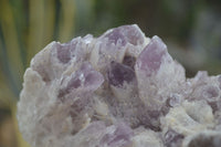 Natural Sugar Amethyst Clusters  x 2 From Zambia - Toprock Gemstones and Minerals 