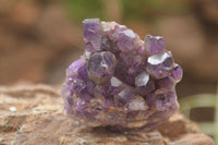 Natural Dark Amethyst Clusters (Stone Sealed) x 12 From Zambia