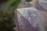 Natural Jacaranda Amethyst Cluster x 1 From Mumbwa, Zambia - TopRock