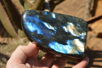 Polished Labradorite Standing Free Forms With Intense Blue & Gold Flash x 2 From Sakoany, Madagascar - TopRock