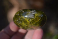 Polished selected Green Opal Palm Stones x 12 From Antsirabe, Madagascar - Toprock Gemstones and Minerals 