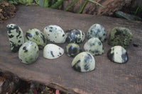 Polished Spotted Leopard Stone Standing Free Forms  x 12 From Nyanga & Shamva, Zimbabwe - Toprock Gemstones and Minerals 