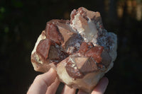 Natural Red Hematoid Quartz Specimens  x 2 From Karoi, Zimbabwe - Toprock Gemstones and Minerals 