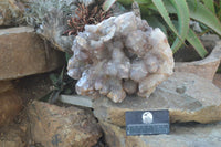 Natural Large Red Hematoid Quartz Cluster x 1 From Karoi, Zimbabwe