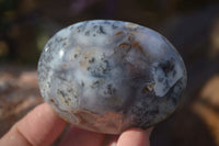 Polished Dendritic Opal Galet / Palm Stone x 12 from Madagascar