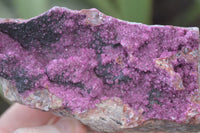 Natural Pink Salrose Cobaltion Dolomite Specimens  x 3 From Kakanda, Congo