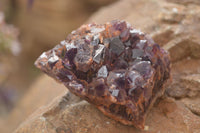 Natural Dark Amethyst Clusters (Stone Sealed) x 12 From Zambia