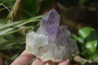 Natural Jacaranda Amethyst Clusters  x 3 From Mumbwa, Zambia - Toprock Gemstones and Minerals 