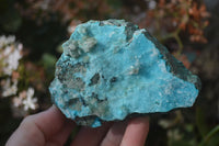 Natural Drusy Coated Chrysocolla Dolomite Specimens x 3 From Laputa Mine, Congo