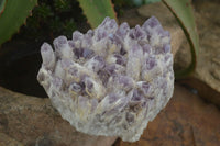 Natural Sugar Amethyst Clusters  x 2 From Zambia - Toprock Gemstones and Minerals 