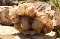 Natural Cascading White Phantom Smokey Quartz Cluster  x 1 From Luena, Congo - TopRock