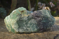 Natural Large Rough Specimens  x 3 From Namibia