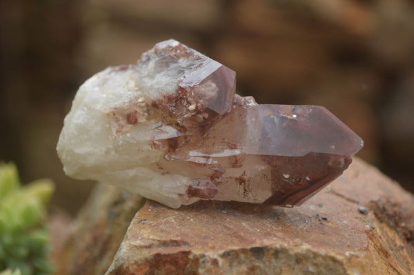 Natural Red Hematoid Quartz Specimens x 12 From Karoi, Zimbabwe - TopRock