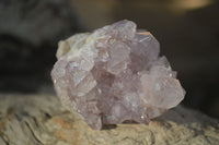 Natural Spirit Amethyst Cactus Quartz Clusters x 12 From Boekenhouthoek, South Africa