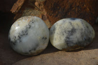 Polished Dendritic Opal Galet / Palm Stone x 12 from Madagascar