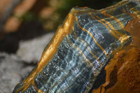 Natural Sliced Tigers Eye Specimen x 1 From Prieska, South Africa - Toprock Gemstones and Minerals 