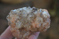 Natural Clear Hematoid Quartz With Goethite Inclusions x 13 From Zambia