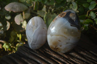 Polished Dendritic Agate Standing Free Forms  x 6 From Madagascar