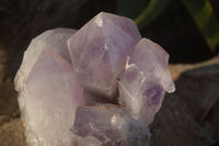 Natural Jacaranda Amethyst Cluster  x 1 From Zambia - Toprock Gemstones and Minerals 