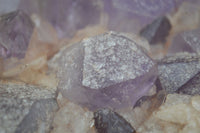 Natural Jacaranda Amethyst Cluster x 1 From Mumbwa, Zambia - TopRock