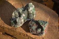 Natural Drusy Coated Ball Malachite On Dolomite Specimens  x 2 From Likasi, Congo