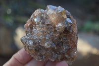 Natural Clear Hematoid Quartz With Goethite Inclusions x 13 From Zambia