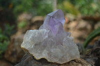 Natural Jacaranda Amethyst Clusters  x 3 From Mumbwa, Zambia - Toprock Gemstones and Minerals 