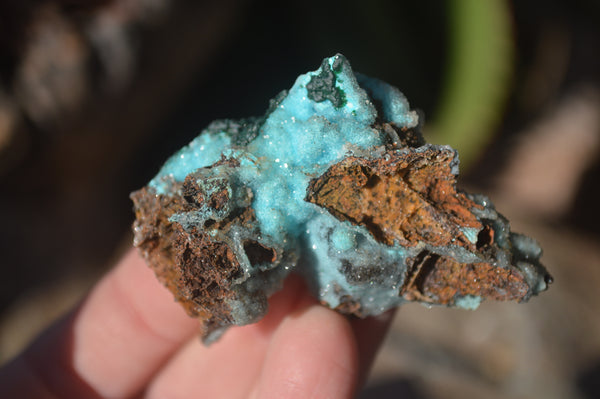 Natural Drusy Coated Chrysocolla On Dolomite Specimens x 4 From Congo