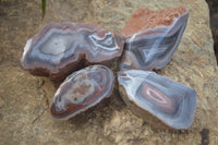 Polished Red River Agate Nodules  x 4 From Zimbabwe - TopRock