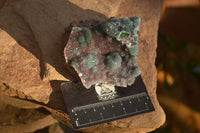 Natural Drusy Coated Ball Malachite On Dolomite Specimens  x 2 From Likasi, Congo