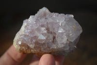 Natural Spirit Amethyst Cactus Quartz Clusters x 12 From Boekenhouthoek, South Africa