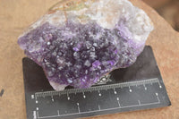 Natural Dark Amethyst Clusters (Stone Sealed) x 12 From Zambia