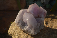 Natural Jacaranda Amethyst Cluster  x 1 From Zambia - Toprock Gemstones and Minerals 