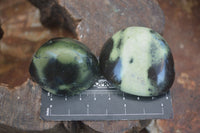 Polished Spotted Leopard Stone Standing Free Forms  x 12 From Nyanga & Shamva, Zimbabwe - Toprock Gemstones and Minerals 