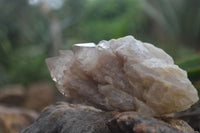 Natural Cascading White Phantom Quartz Clusters  x 6 From Luena, Congo - Toprock Gemstones and Minerals 