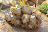 Natural Cascading White Phantom Smokey Quartz Cluster  x 1 From Luena, Congo - TopRock