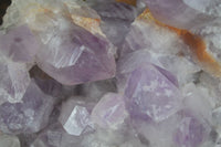 Natural Large Jacaranda Amethyst Cluster  x 1 From Mumbwa, Zambia - Toprock Gemstones and Minerals 