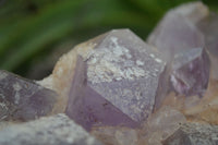 Natural Jacaranda Amethyst Cluster x 1 From Mumbwa, Zambia - TopRock