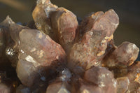 Natural Large Red Hematoid Quartz Cluster x 1 From Karoi, Zimbabwe