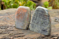 Polished  Labradorite Standing Free Forms With Purple & Gold Flash  x 2 From Tulear, Madagascar - TopRock